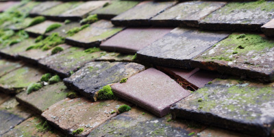 Barton Le Clay roof repair costs